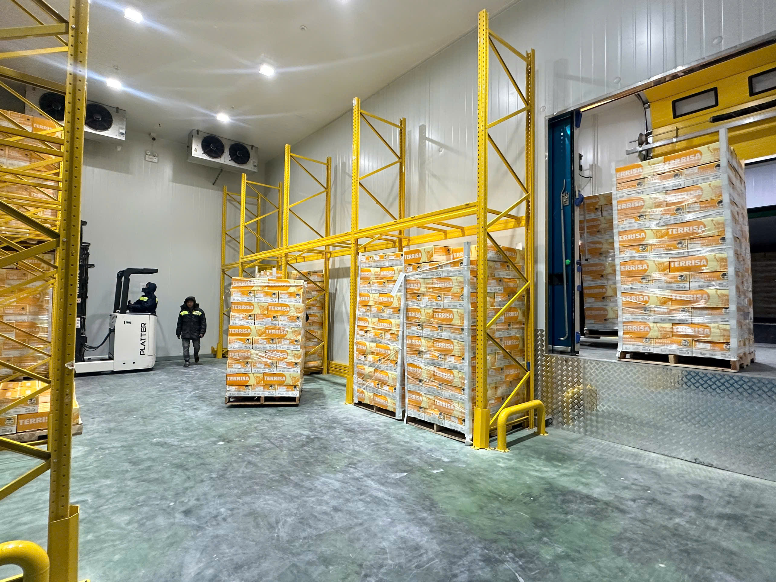 Dịch vụ chuyên nghiệp